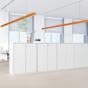 Office Storage