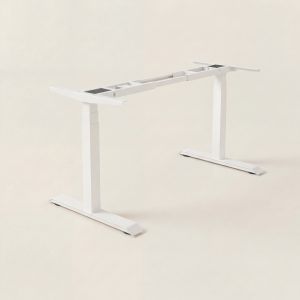Standard - Single Workstation
